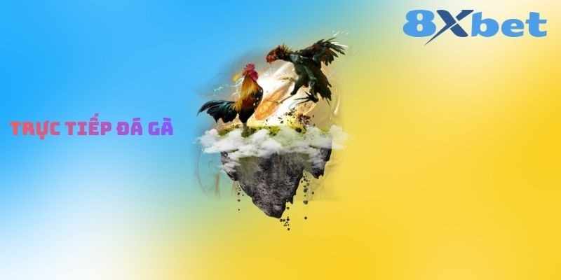 Khám Phá Thế Giới Đá Gà Trực Tuyến Tại 8XBET: Cẩm Nang Chi Tiết Cho Người Mới