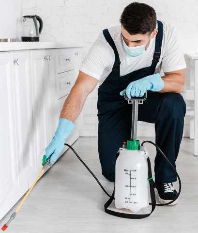 Pest Control Services Edmonton | 24/7 Experts