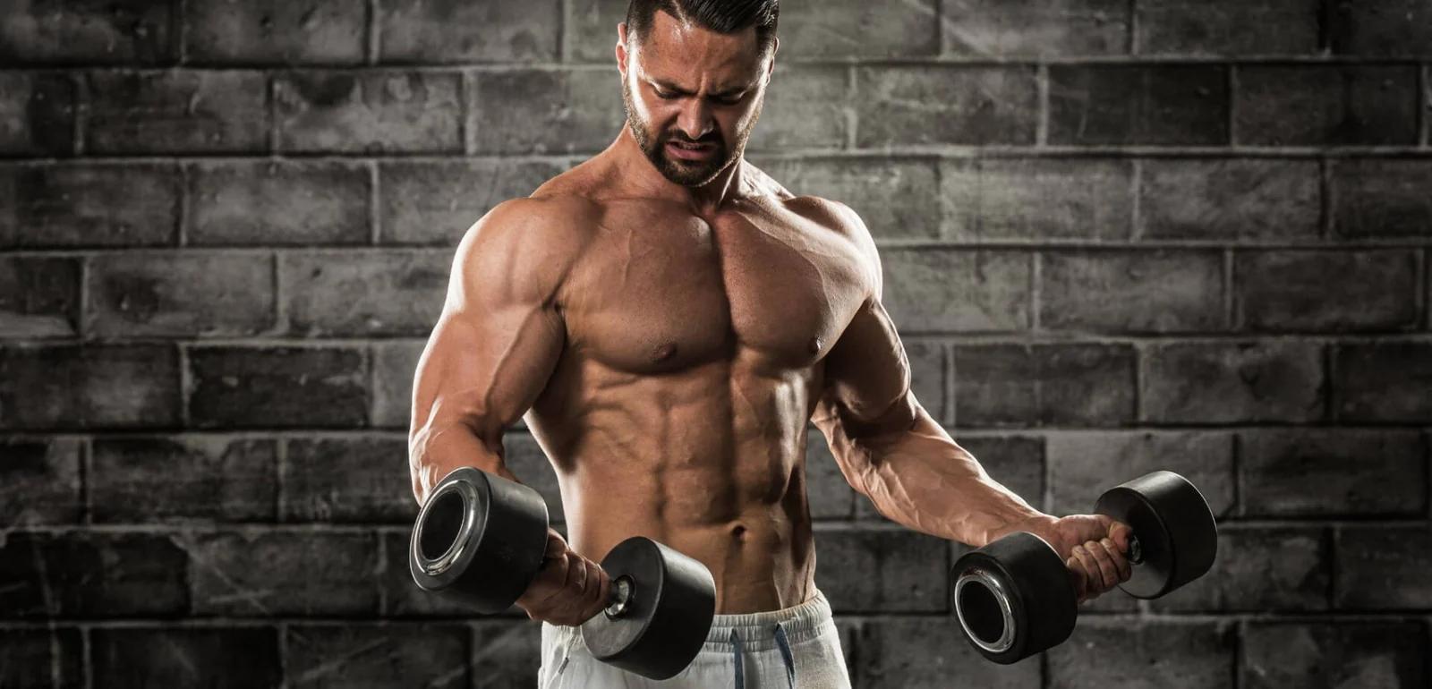 Native Creatine : Say Goodbye to Stress! Health Benefits [Update 2025]