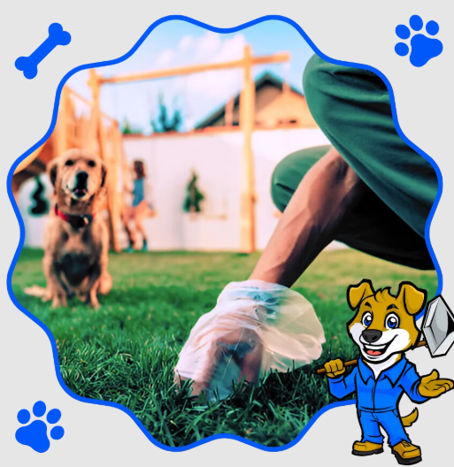 Scoop Doggy Dog: A Trusted Pet Waste Removal Company in Wise County