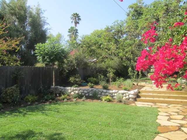 Why Hire Professional Tree Services in Pacific Palisades?