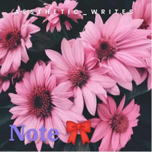 Note 🎀