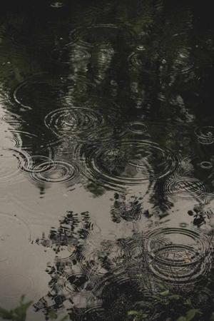 Chapter 2 | The Rain That Broke The Silence