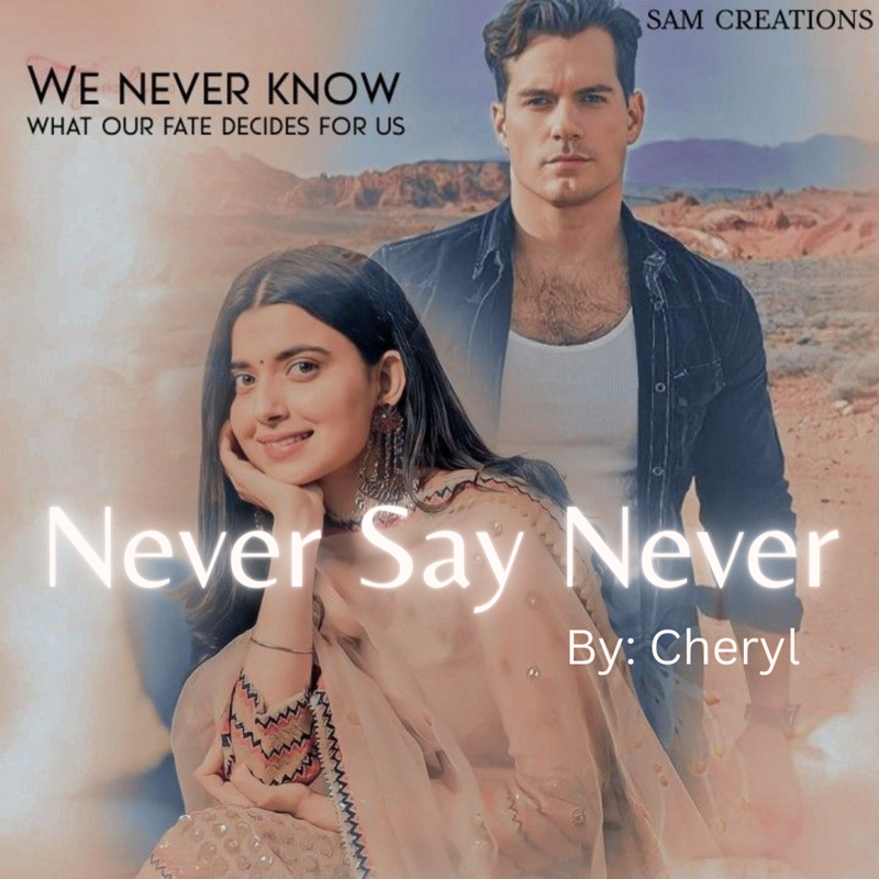 Never Say Never (complete)