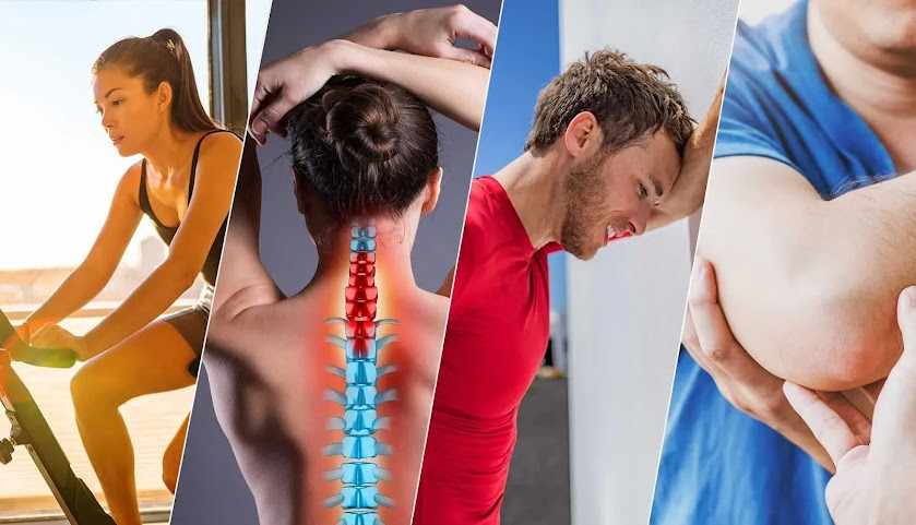 Element Organics Hemp Gummies Australia Offers