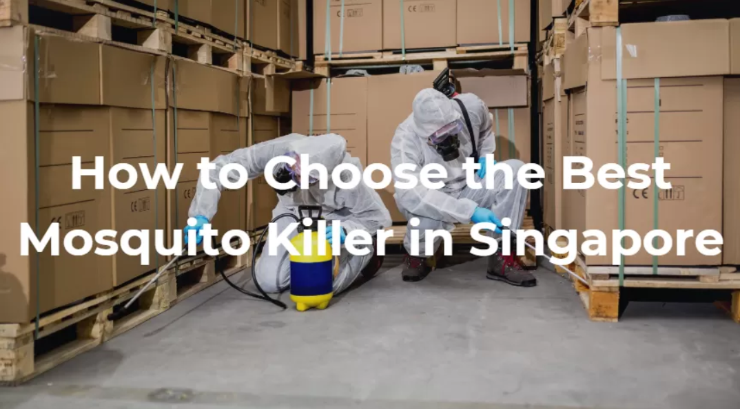 Effective Solutions for Mosquitoes and Rodents in Your Singapore Home