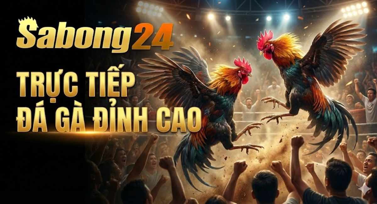 SABONG24 - XEM TRỰC TIẾP ĐÁ GÀ THOMO HÔM NAY CÓ BÌNH LUẬN VIÊN