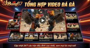Phát Lại Video Đá Gà Trực Tiếp Tại Thomo Hàng Ngày Tại SABONG67
