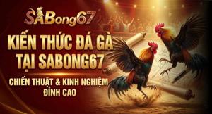 Cập Nhật Kiến Thức Đá Gà – Kinh Nghiệm Chơi Gà Đá Dành Cho Người Mới