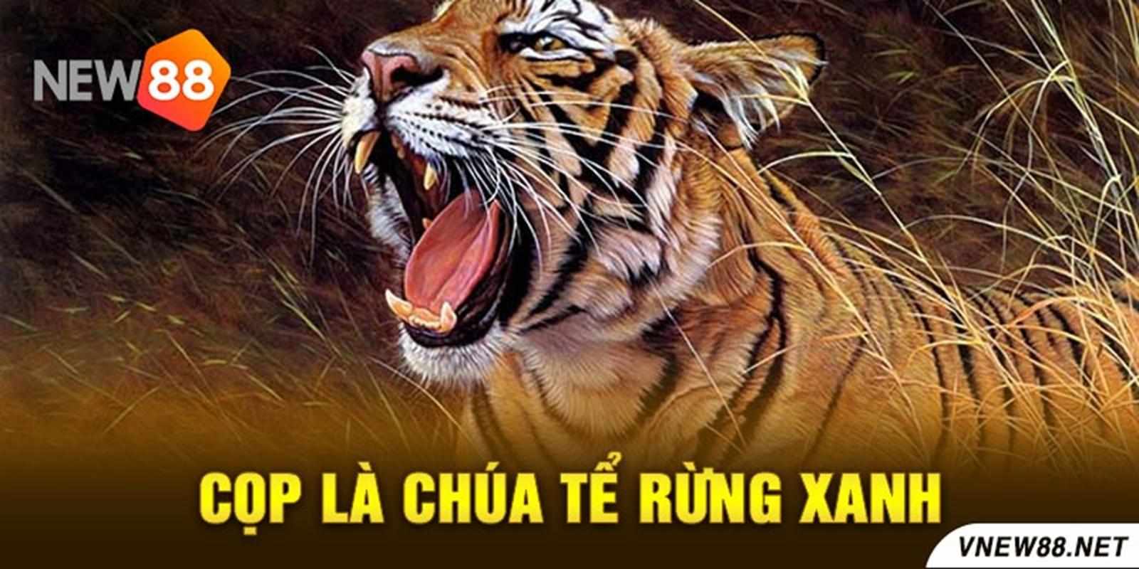 Mơ Thấy Cọp Đánh Số Gì Theo Quan Niệm Dân Gian