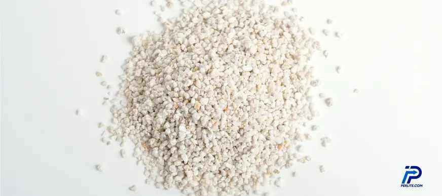 Can You Use Cat Litter as Perlite? A Smart Buying Guide for Oregon & West Coast Growers
