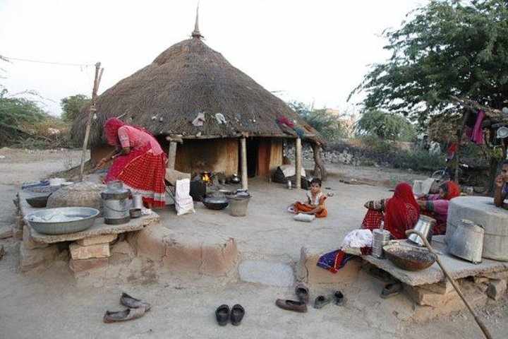 Bishnoi Village Safari: Nature and Local Life Near Jodhpur