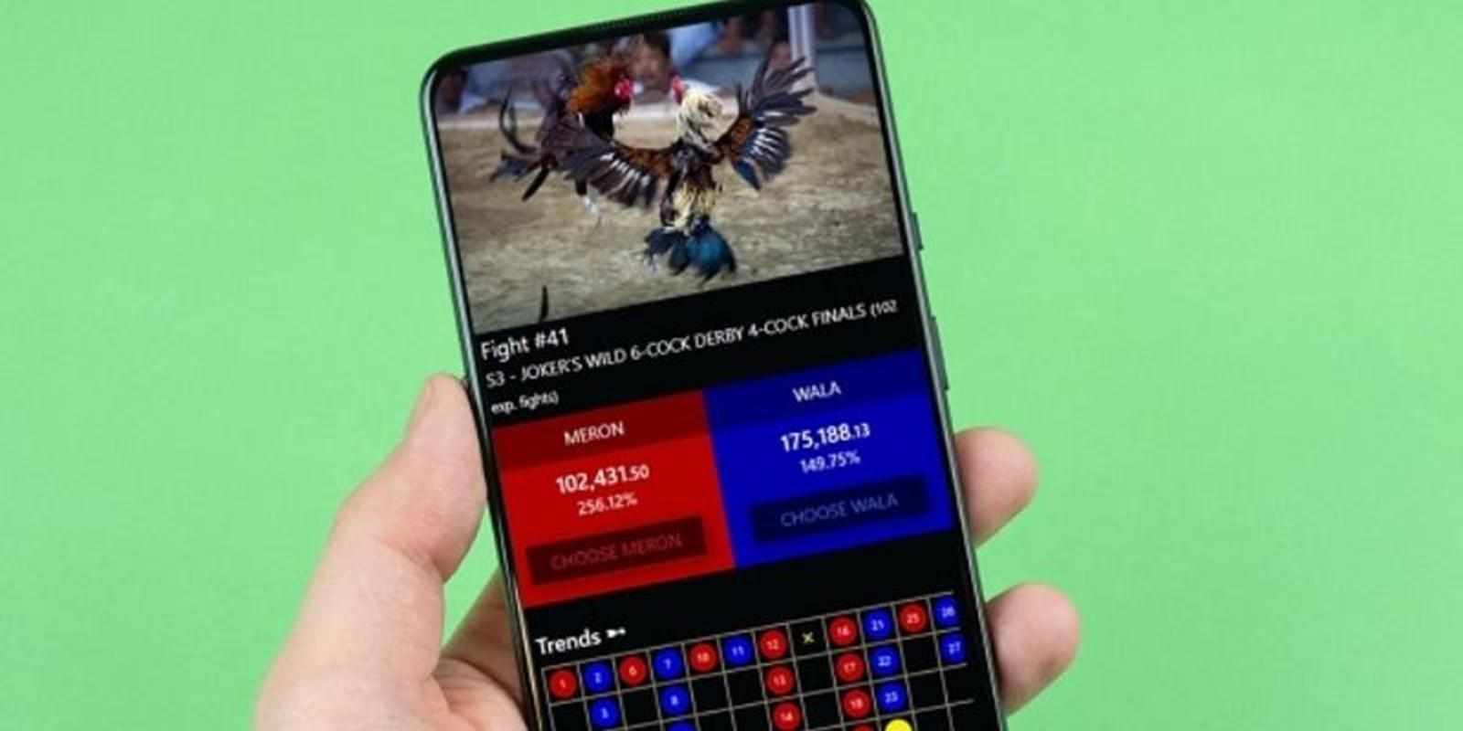 Vì sao Live đá gà Thomo thu hút đông đảo người theo dõi