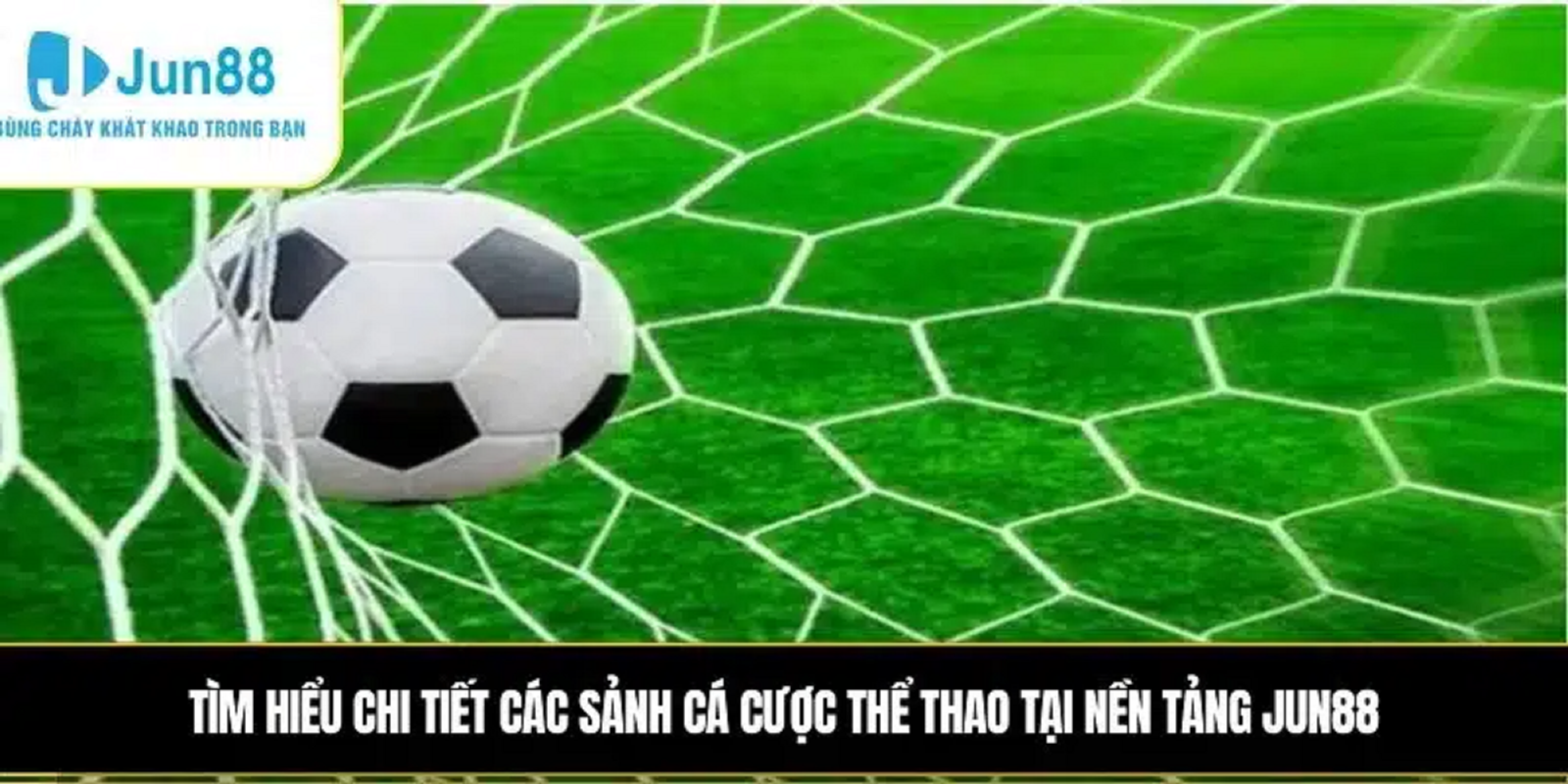 Vì sao Thể thao JUN88 được người chơi đánh giá cao trong năm nay