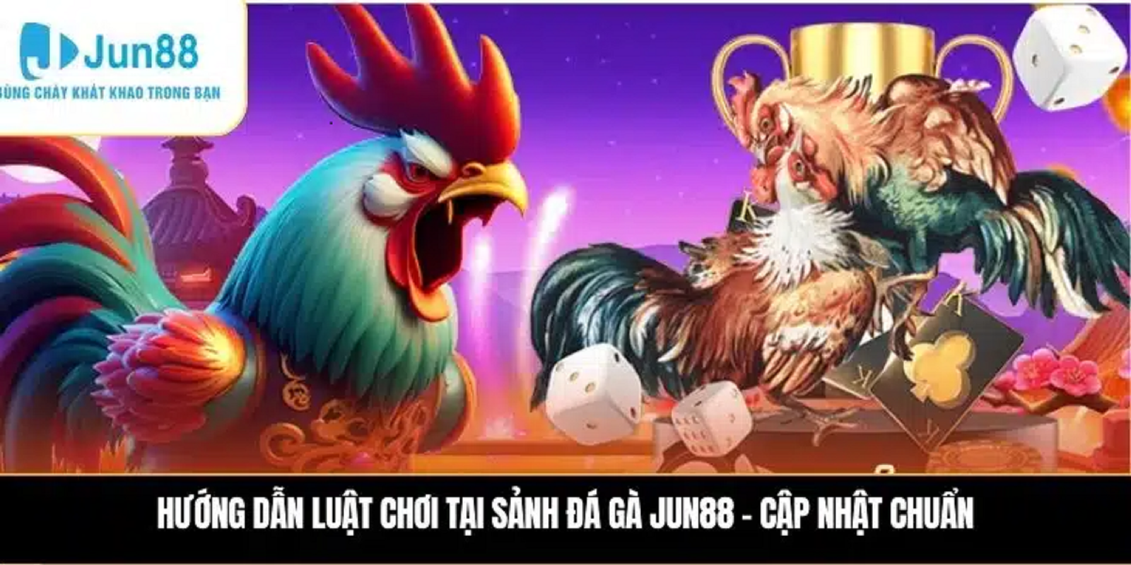 Tại sao nên tham gia đá gà JUN88