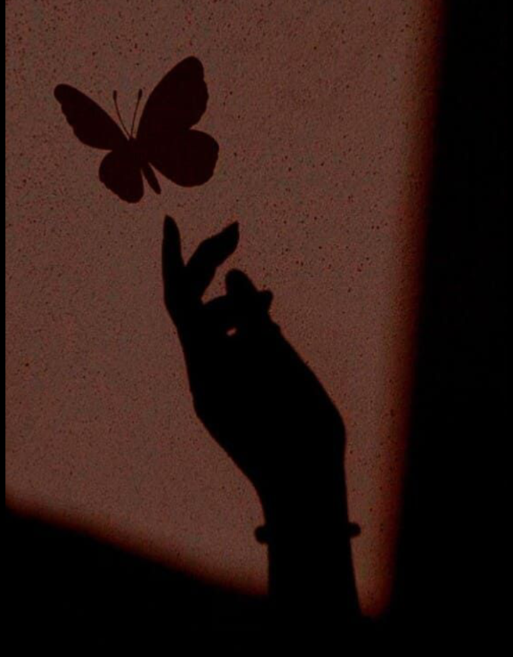 Echoes in an Empty Room 🌧️🖤