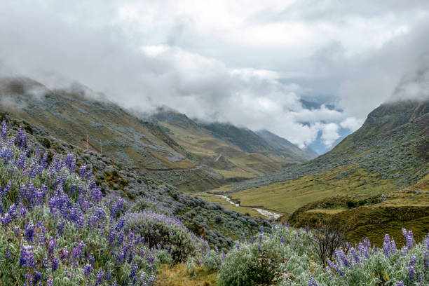 Discover the Secret Inca Marvel: The Choquequirao Trek