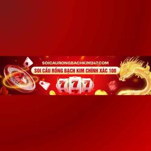 Soi Cầu Rồng Bạch Kim