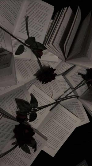 •_aria wryts_• logo