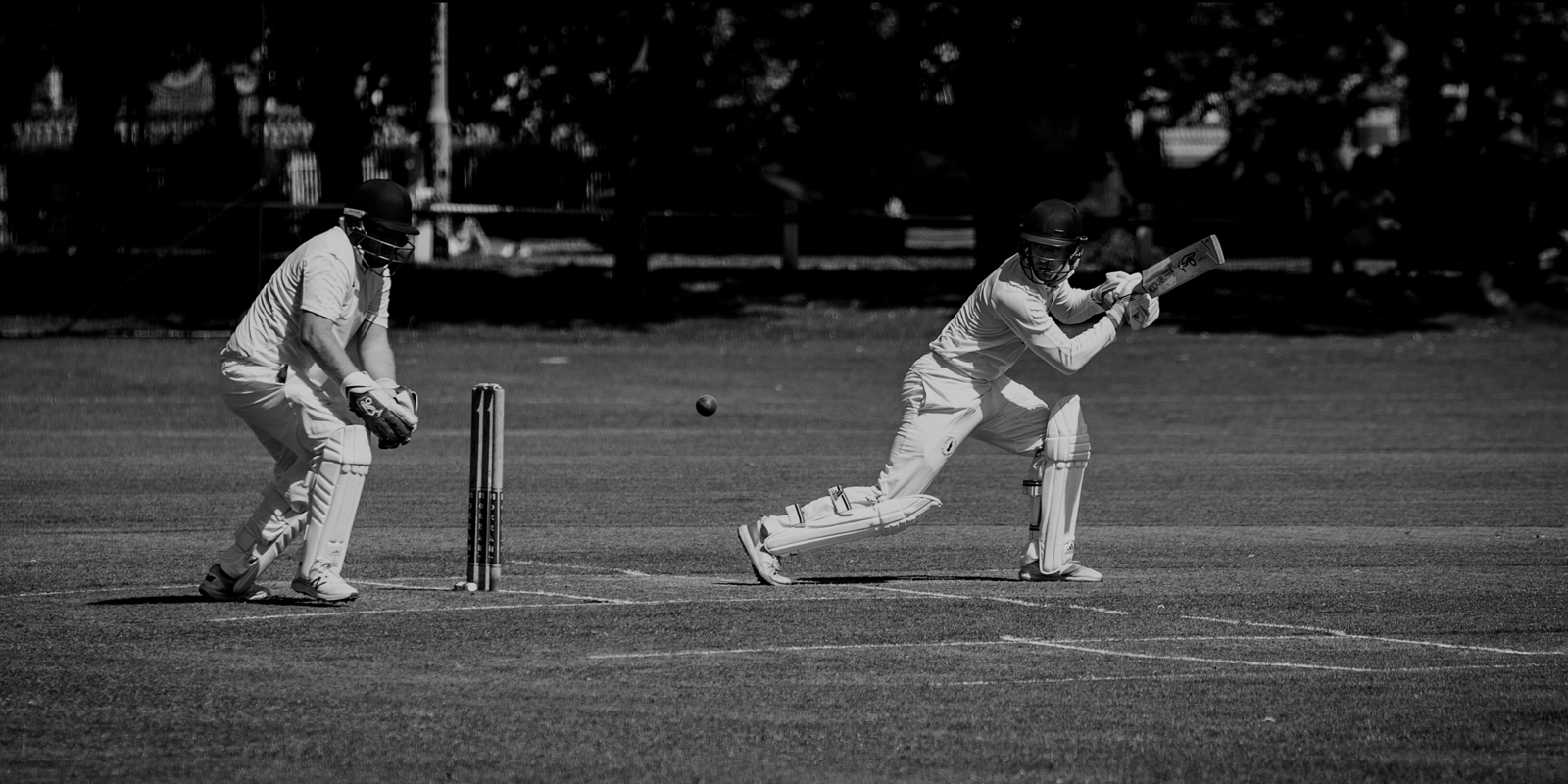 Best Online ID for Sports Betting – Reddybook Trusted Online Betting Book