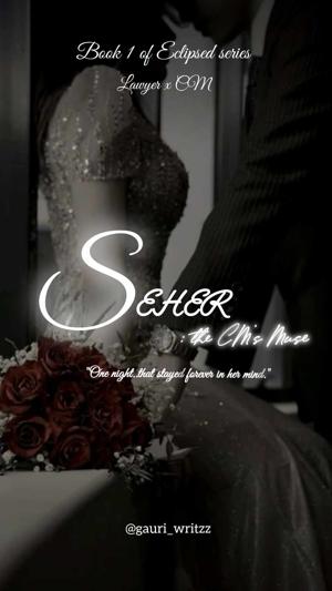 ✿ MEET SEHER & RAGHAV ✿