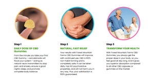 Clam Nature CBD Gummies: A Comprehensive Review for Optimal Wellness