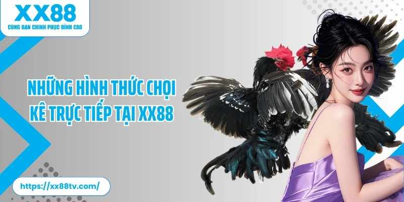 Hướng dẫn xem trực tiếp đá gà Thomo 88 đơn giản cho người mới