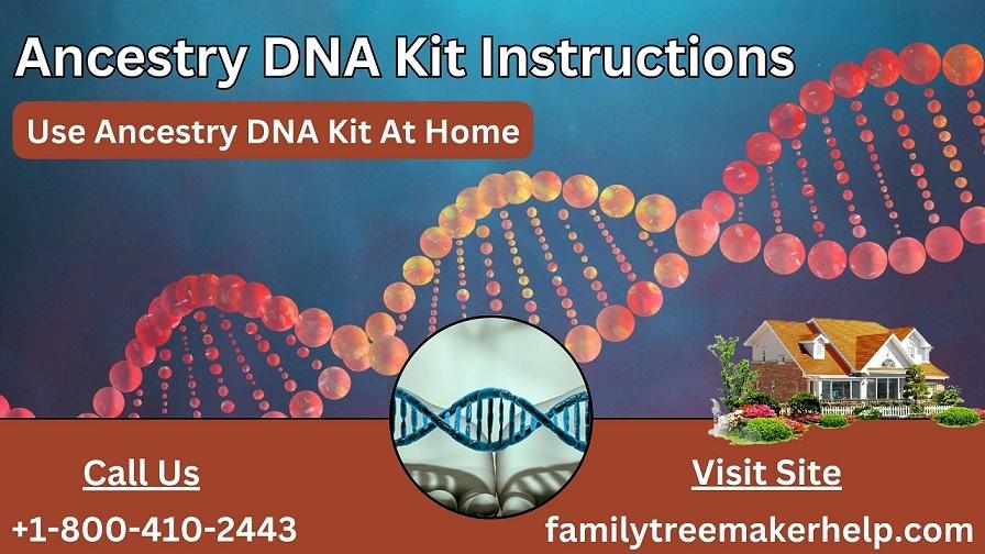 Ancestry dna kit price