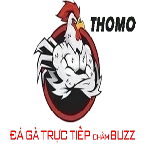 Đá gà trực tiếp