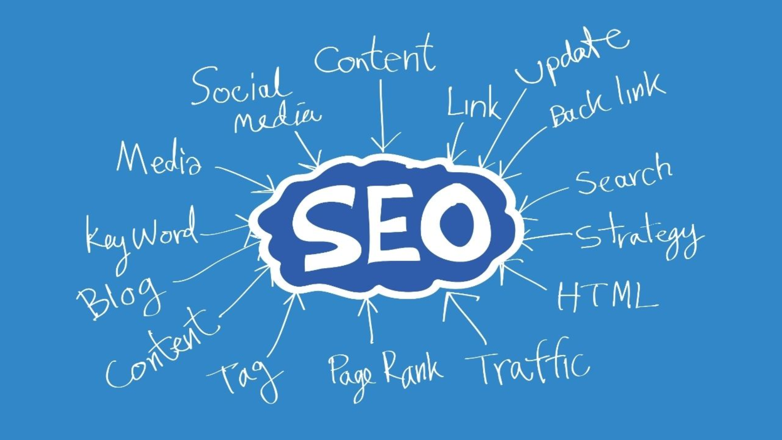 SEO Services Christchurch Helping Businesses Grow Organically Online
