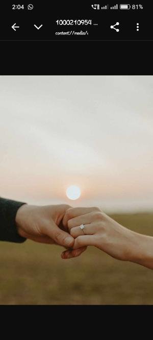 Sapana Rajbhar  logo