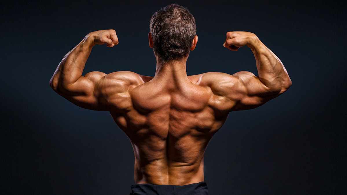 Best SARMs Demystified: Truth, Myths, and Real Information