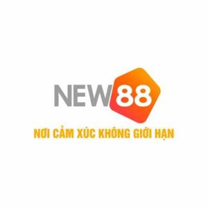 Nhà cái NEW88