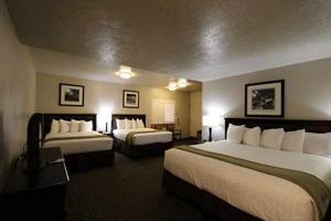 Dinosaur Inn & Suites logo