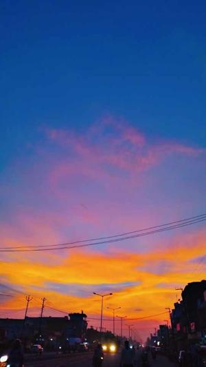 Shivani Katiyar logo