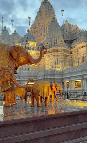 A Paradise - Virangra