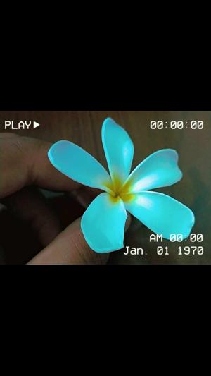 Anshuman choudhary  logo