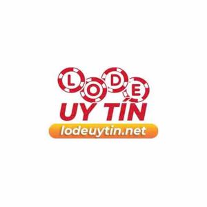 lodeuytinnet logo