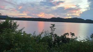 Sakshi Kulkarni logo