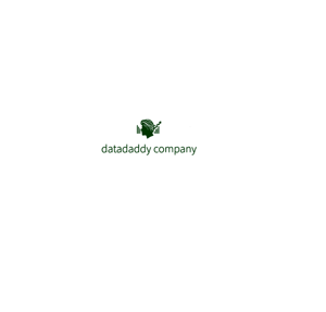 DataDaddy Company