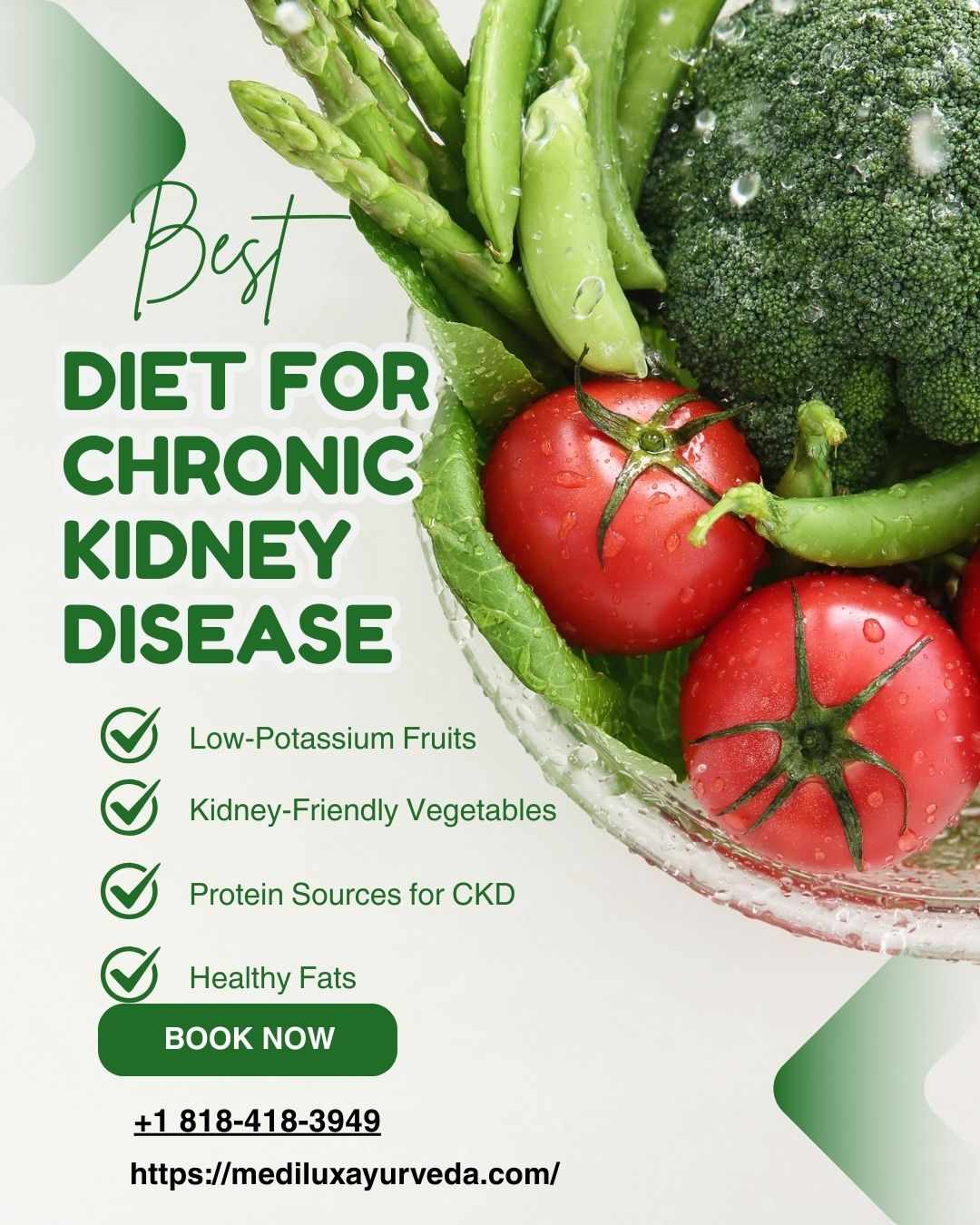 Best Diet for Chronic Kidney Disease: Tips & Guidance