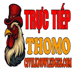 ĐÁ GÀ TRỰC TIẾP CIVIL