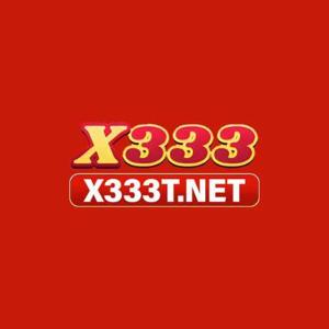 x333 logo