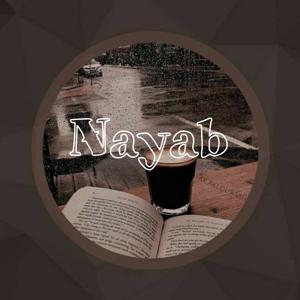 NaYaB logo