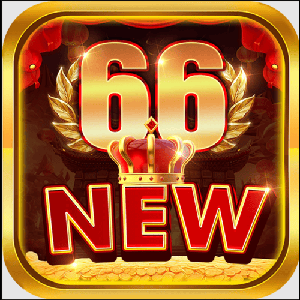 new66
