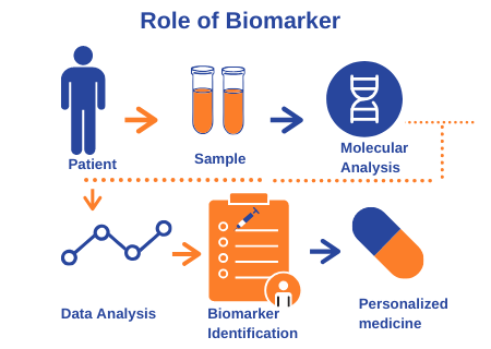 Global Personalized Medicine Biomarkers Market Size and Growth Outlook 2026-2033