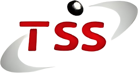 ERP Software Development Company