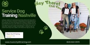Importance of Professional Service Dog Training for Daily Independence