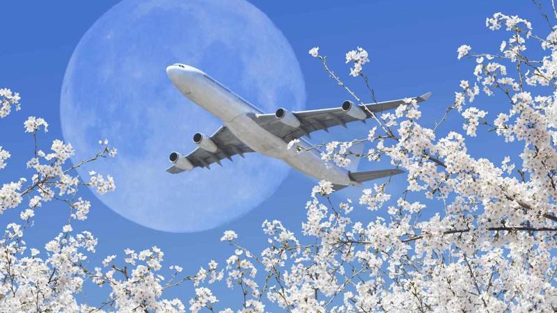Best Airlines to fly to Japan