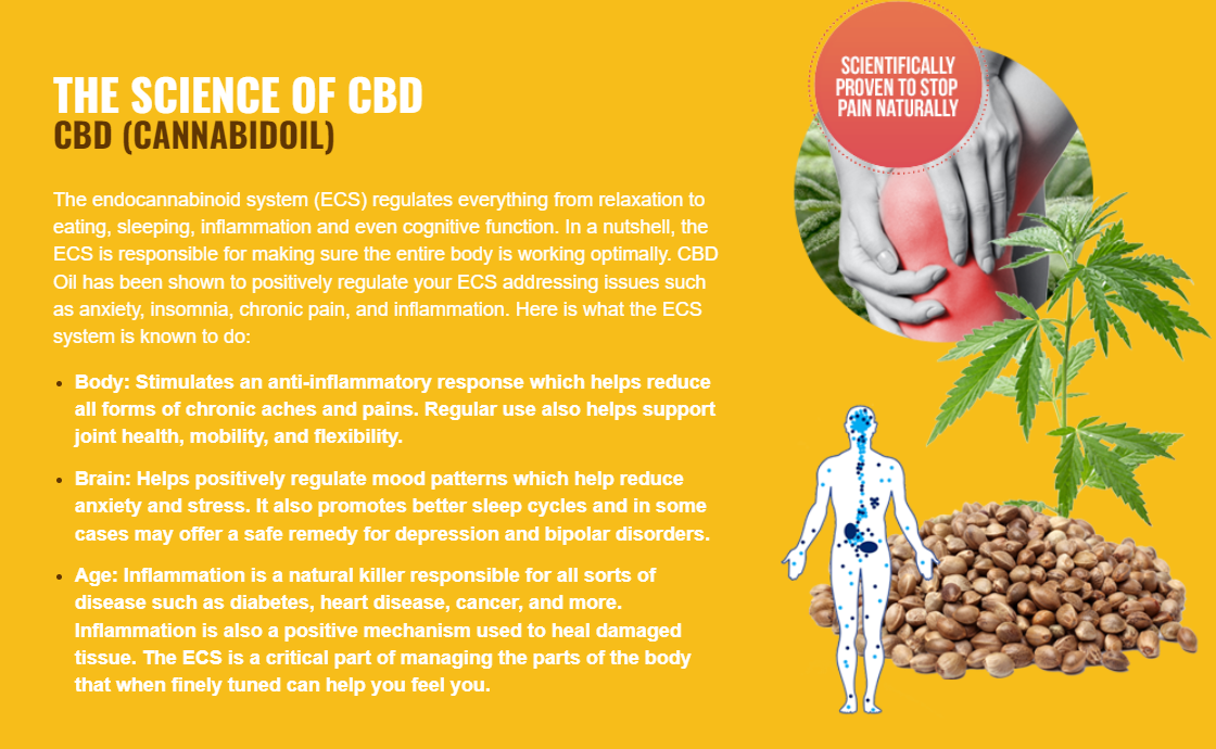 Dr. Hilary Jones CBD Capsules: A Natural Solution to Stress, Anxiety, and Pain Relief in the UK